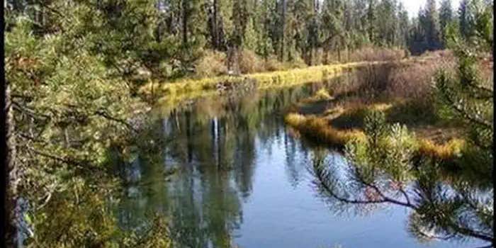 Camper submitted image from Fall River Guard Station