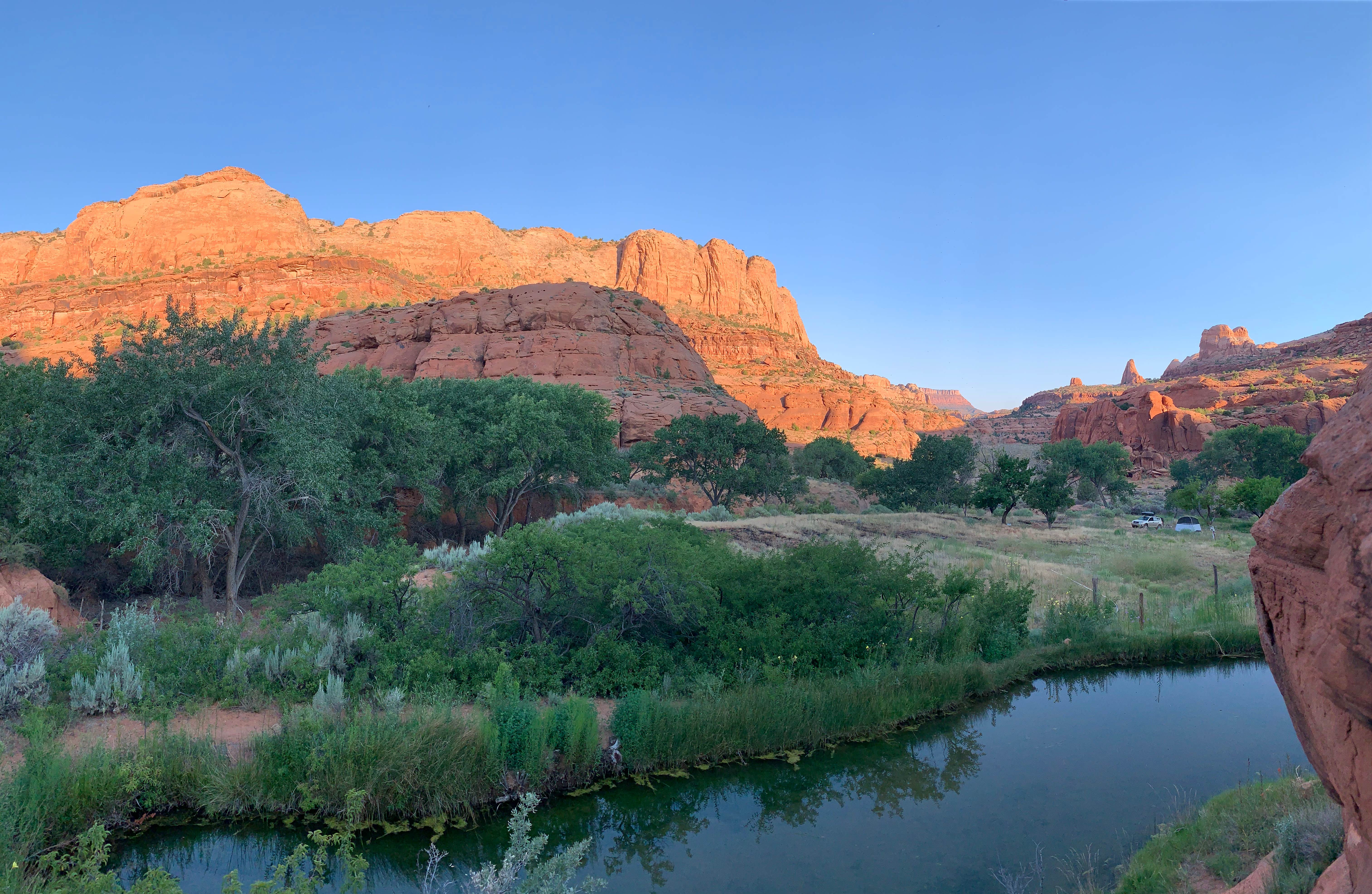 Camper submitted image from Narrow Canyon Orchards Campsite - 3