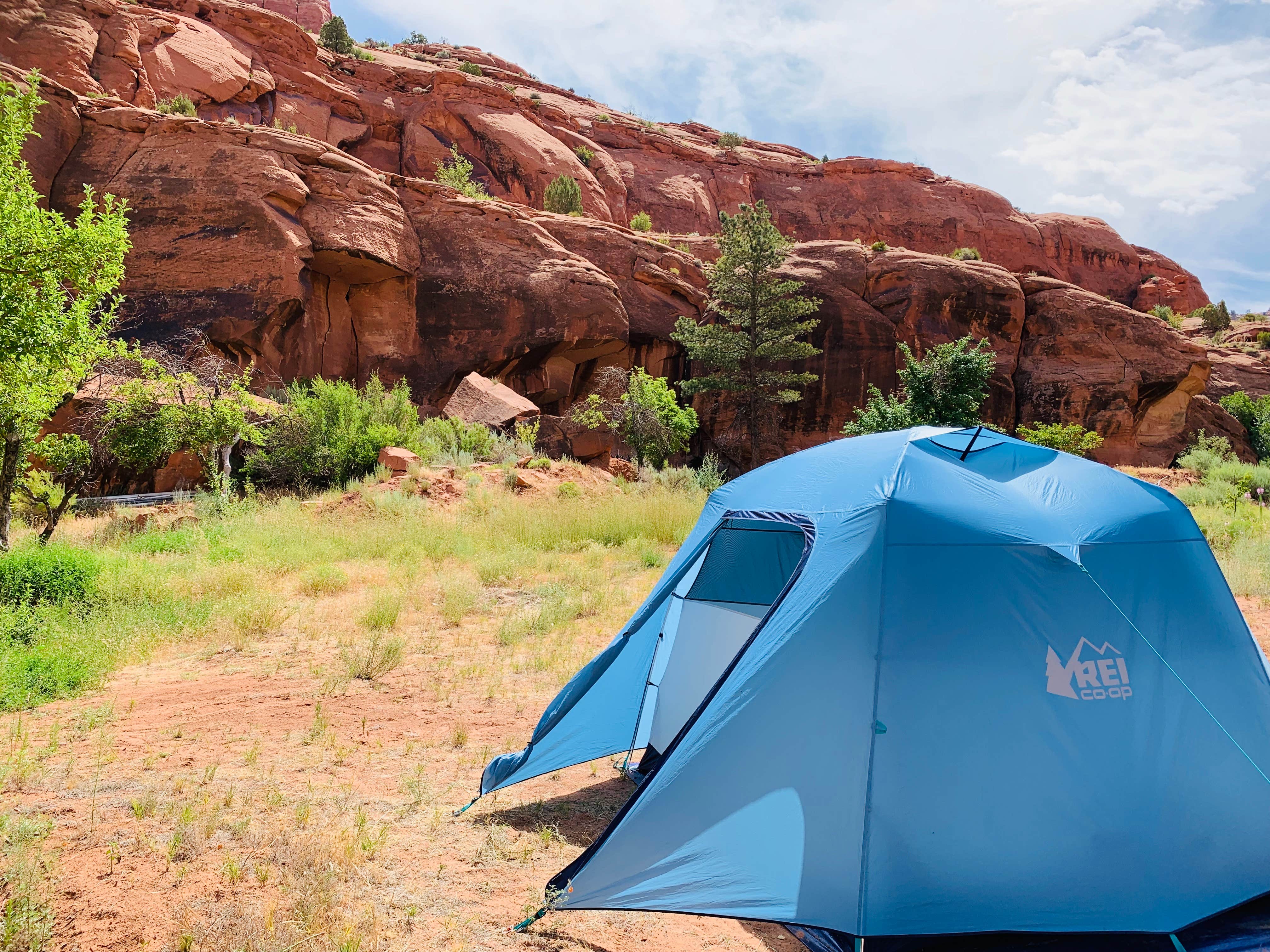 Elijah A.'s photo of tent camping at Narrow Canyon Orchards Campsite near Oljato-Monument Valley, UT