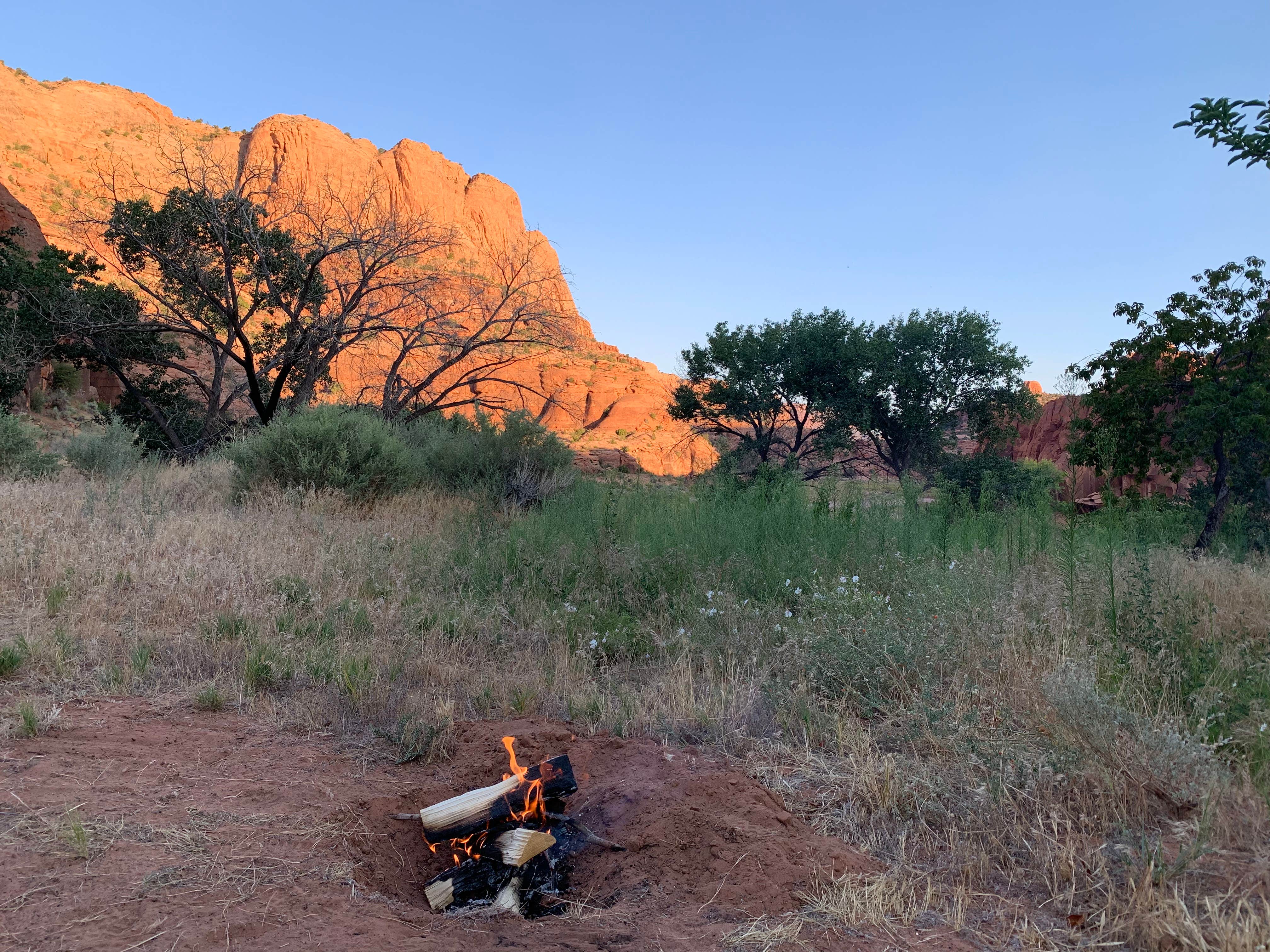 Camper submitted image from Narrow Canyon Orchards Campsite - 5