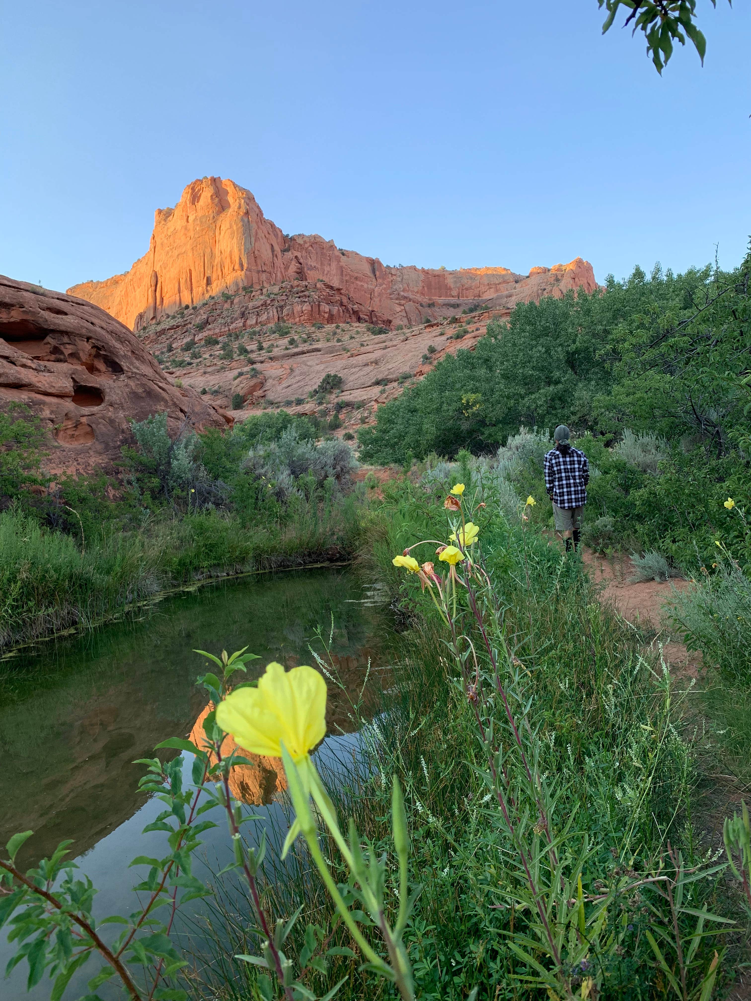 Camper submitted image from Narrow Canyon Orchards Campsite - 4