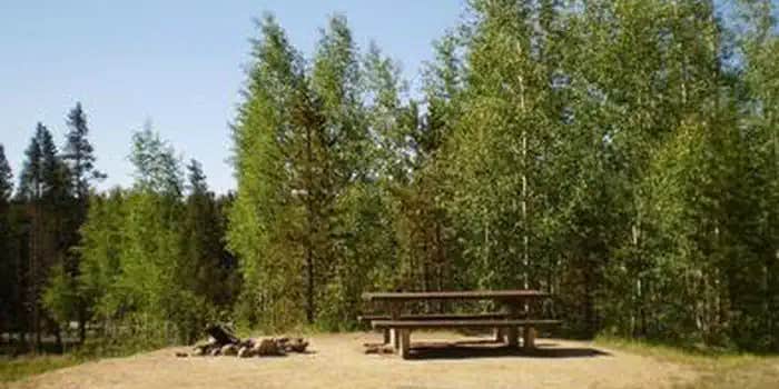 Camper submitted image from Molly Brown Campground