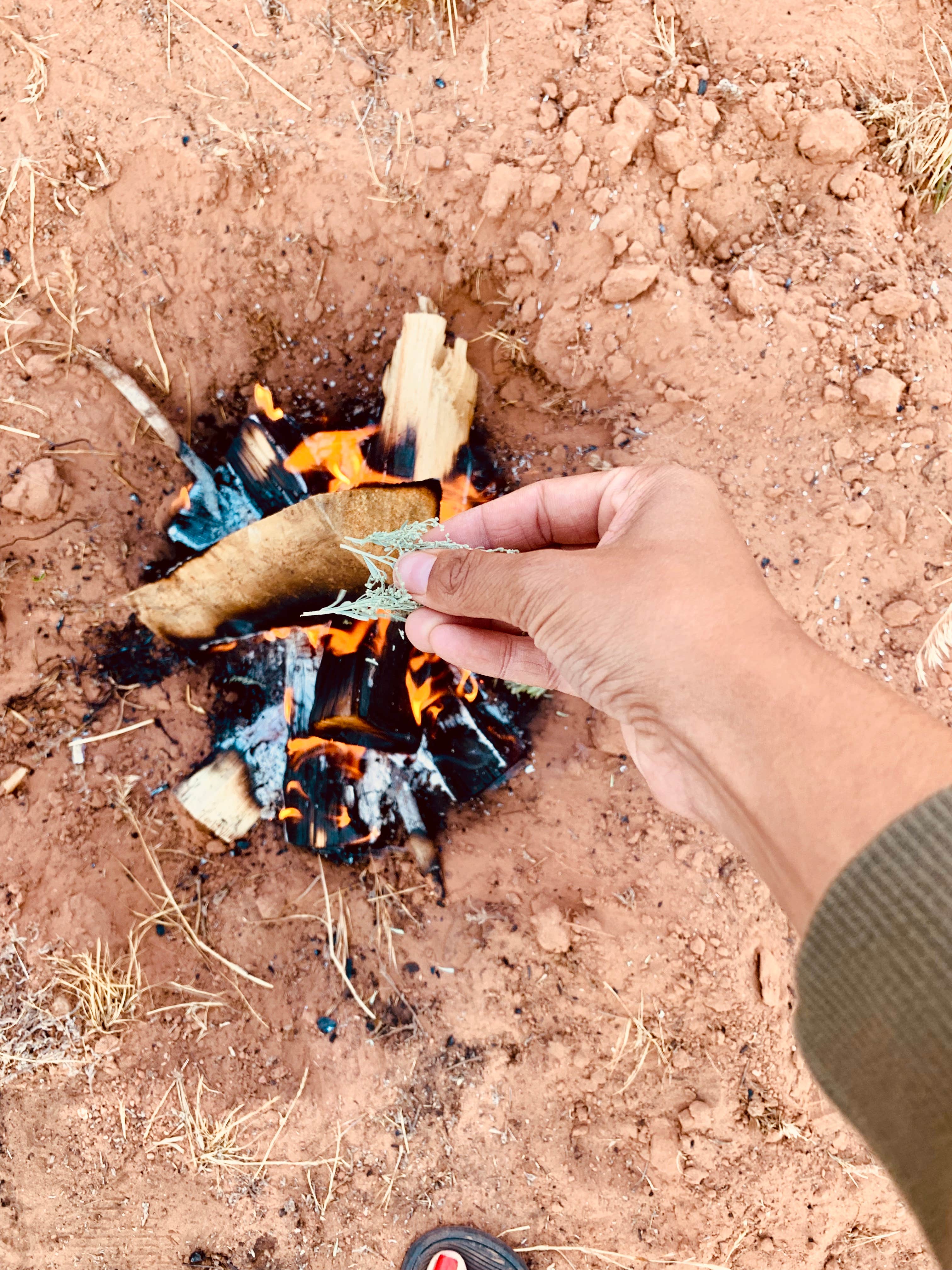 Camper-submitted photo at Narrow Canyon Orchards Campsite near Tonalea, AZ