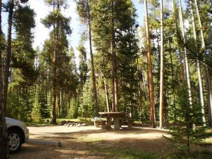Camper-submitted photo at Molly Brown Campground near Leadville, CO