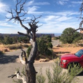 Review photo of Island In The Sky (Willow Flat) Campground — Canyonlands National Park by Brendon G., August 18, 2019