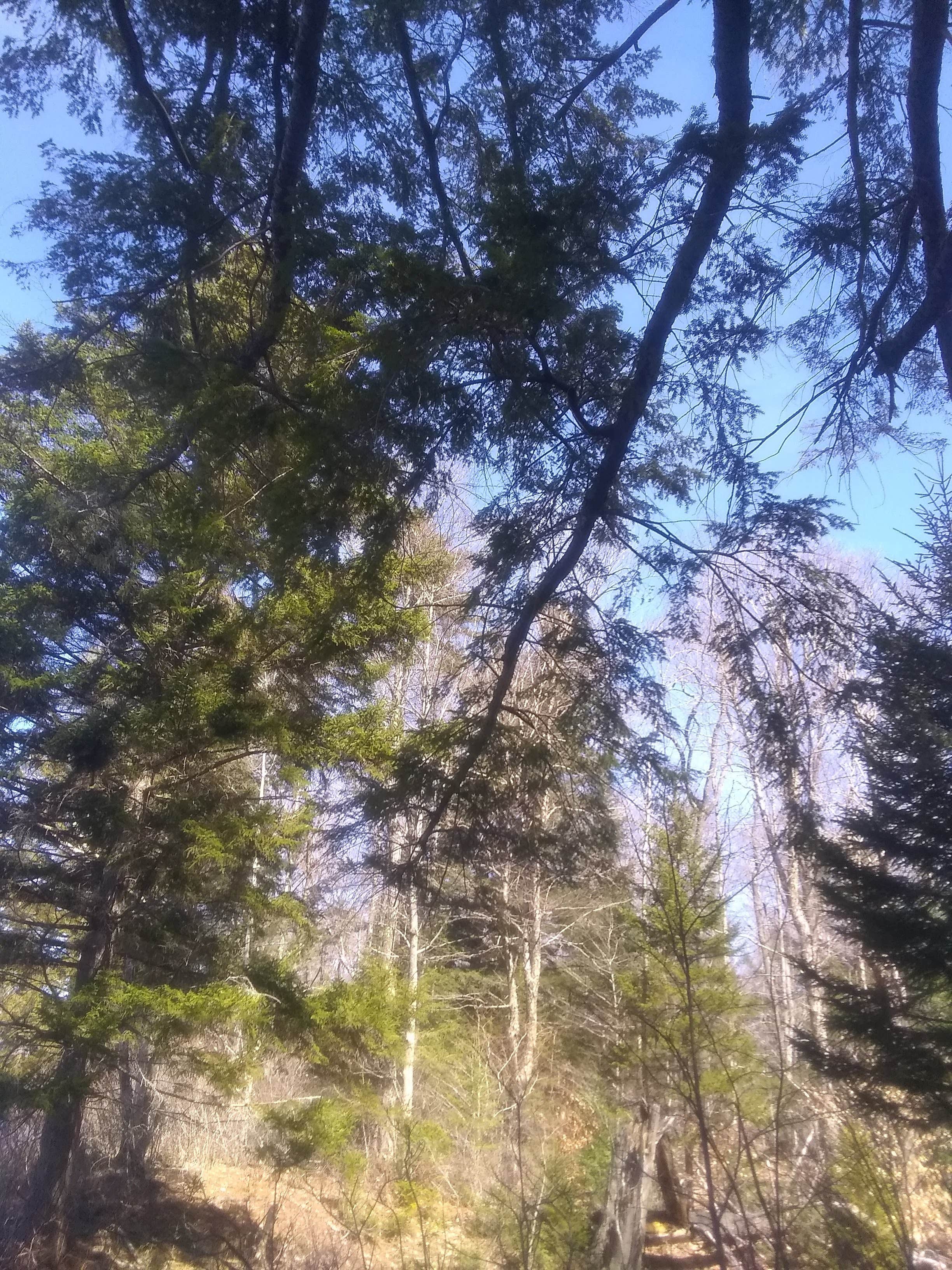Camper-submitted photo at Newtown Battlefield State Park Campground near Big Flats, NY