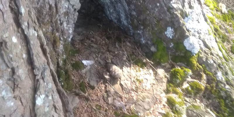 Camper submitted image from Newtown Battlefield State Park Campground