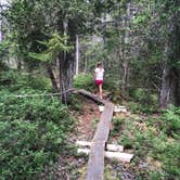 Review photo of Schoodic Woods Campground — Acadia National Park by Michelle H., August 18, 2019