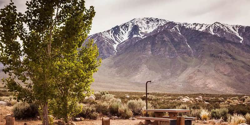Camper submitted image from Horton Creek Campground — Alabama Hills
