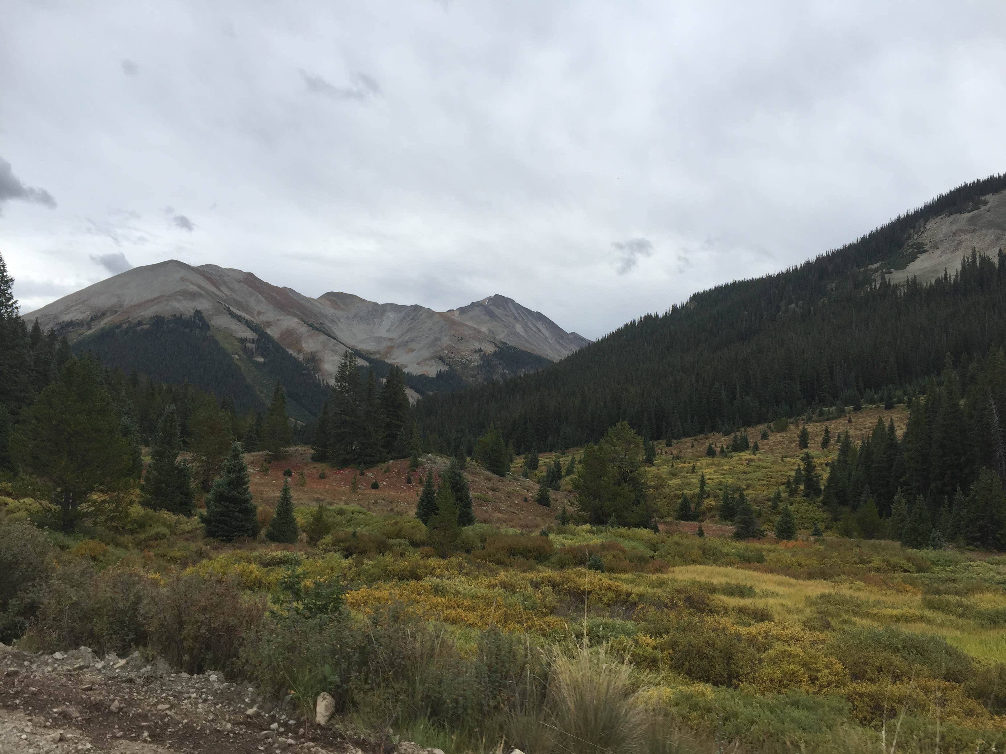 Camper submitted image from Portal Campground - 2