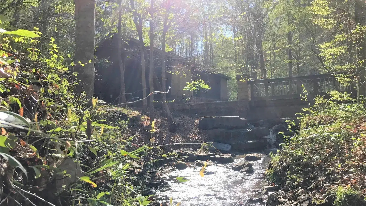 Camper-submitted photo at Burchfield Branch Park near Northport, AL