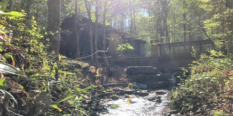 Camper submitted image from Burchfield Branch Park