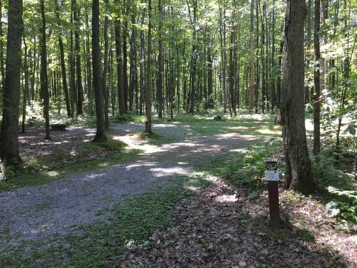 Camper submitted image from Tracy Ridge - 1