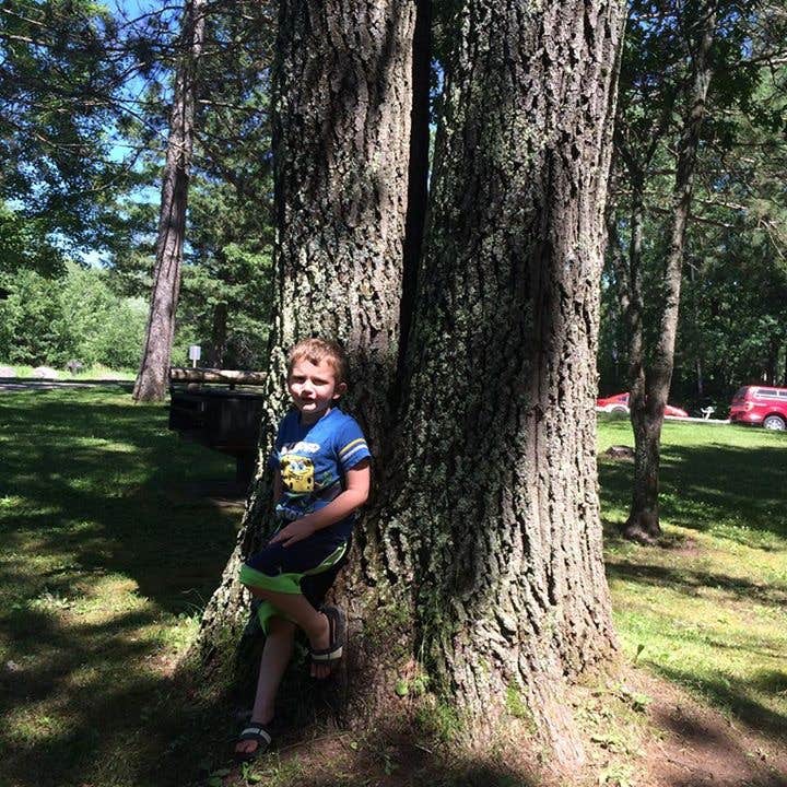 Camping near Schoen Park — Saint Croix National Scenic Riverway: Gordon Dam, Gordon, Wisconsin