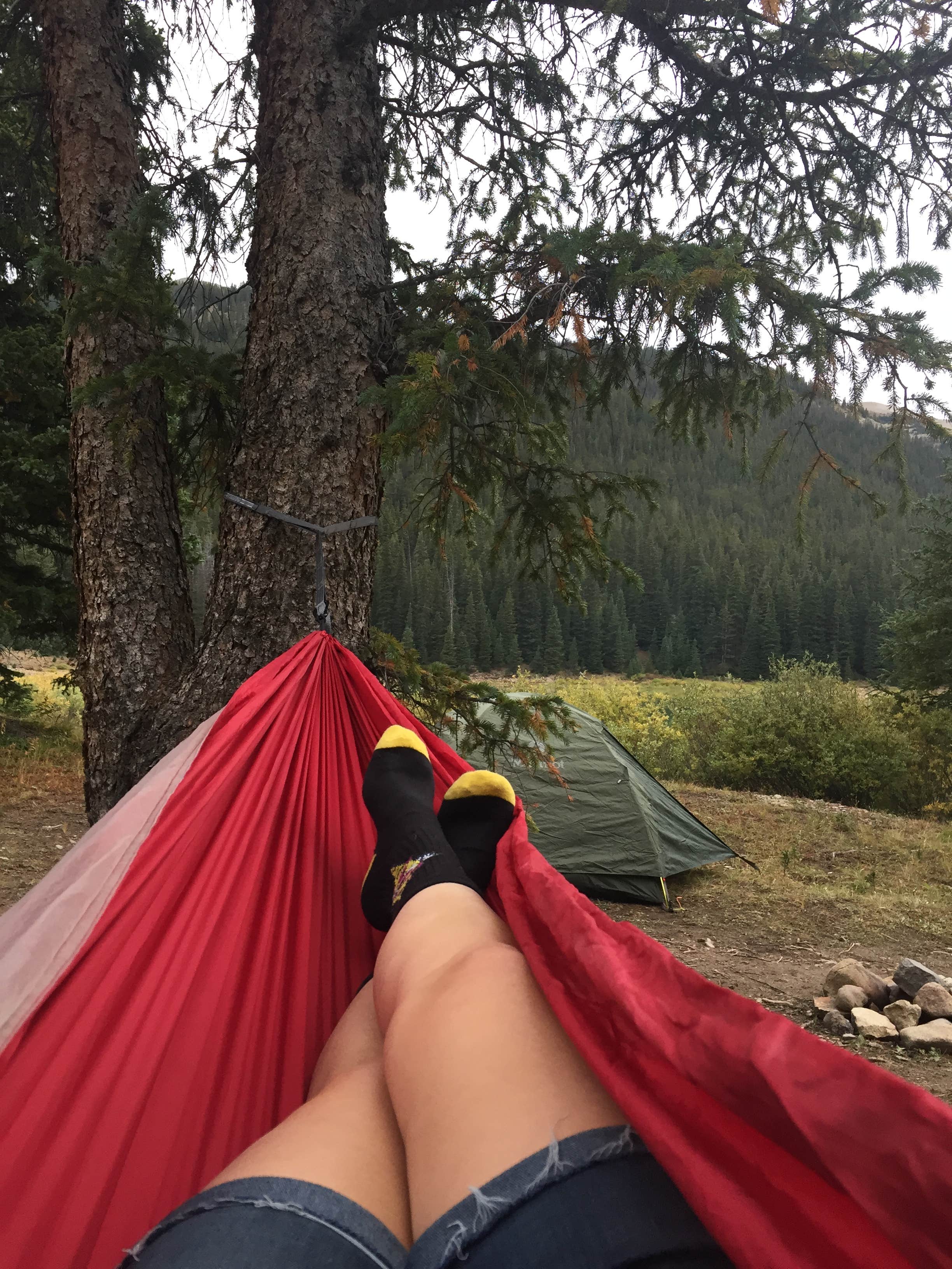 Camper submitted image from Portal Campground - 4
