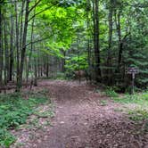 Review photo of Newport State Park by Amy R., August 17, 2019