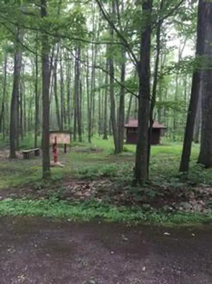 Camper-submitted photo at Tracy Ridge near Bradford, PA