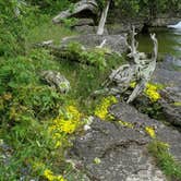 Review photo of Newport State Park by Amy R., August 17, 2019