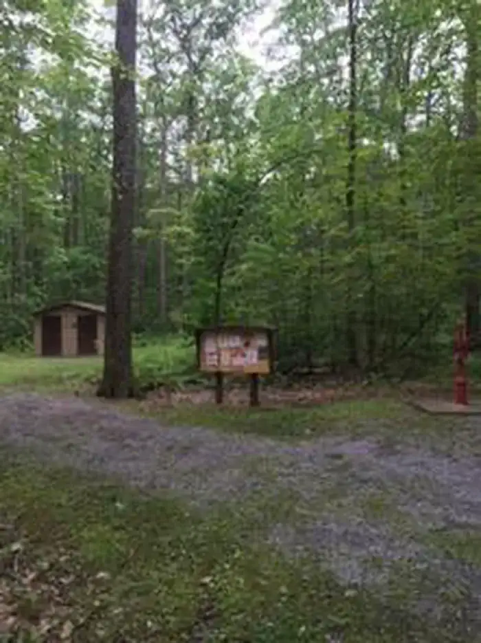 Camper-submitted photo at Tracy Ridge near Bradford, PA