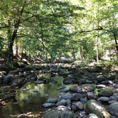 Review photo of Greenbrier Campground by Michelle S., August 18, 2019