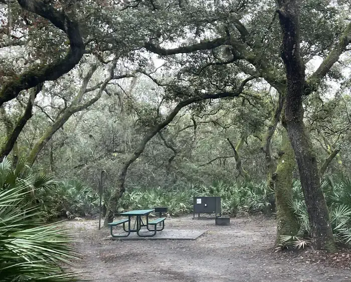 Camping near Whispering Pines RV Park: Fore Lake Campground, Fort Mccoy, Florida
