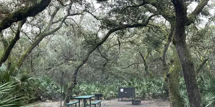 Camper submitted image from Fore Lake Campground