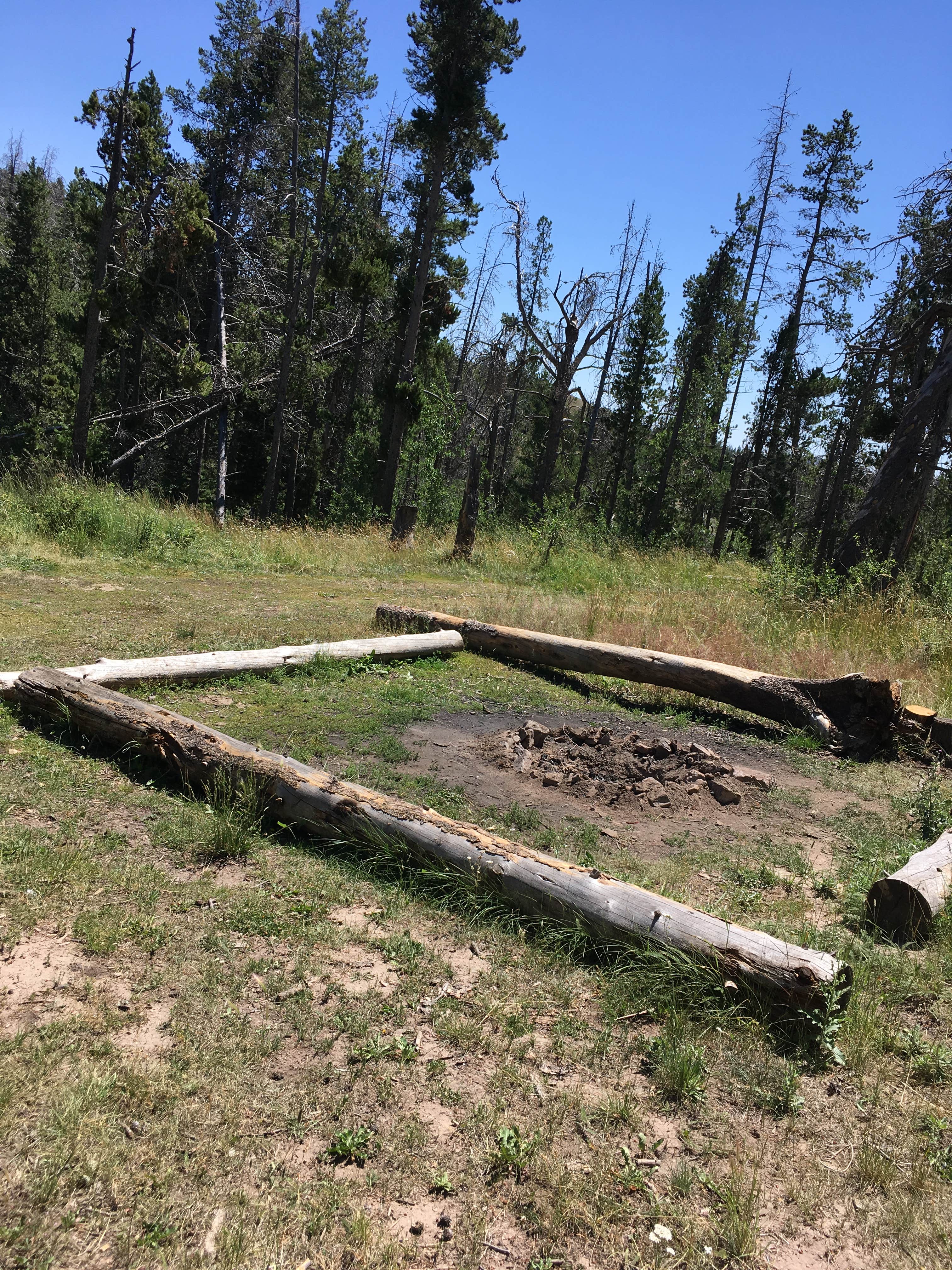 Camper-submitted photo at Pole Mountain Dispersed Camping near Buford, WY