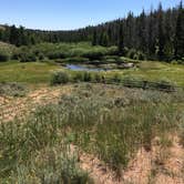 Review photo of Pole Mountain Dispersed Camping by Leslie R., August 18, 2019