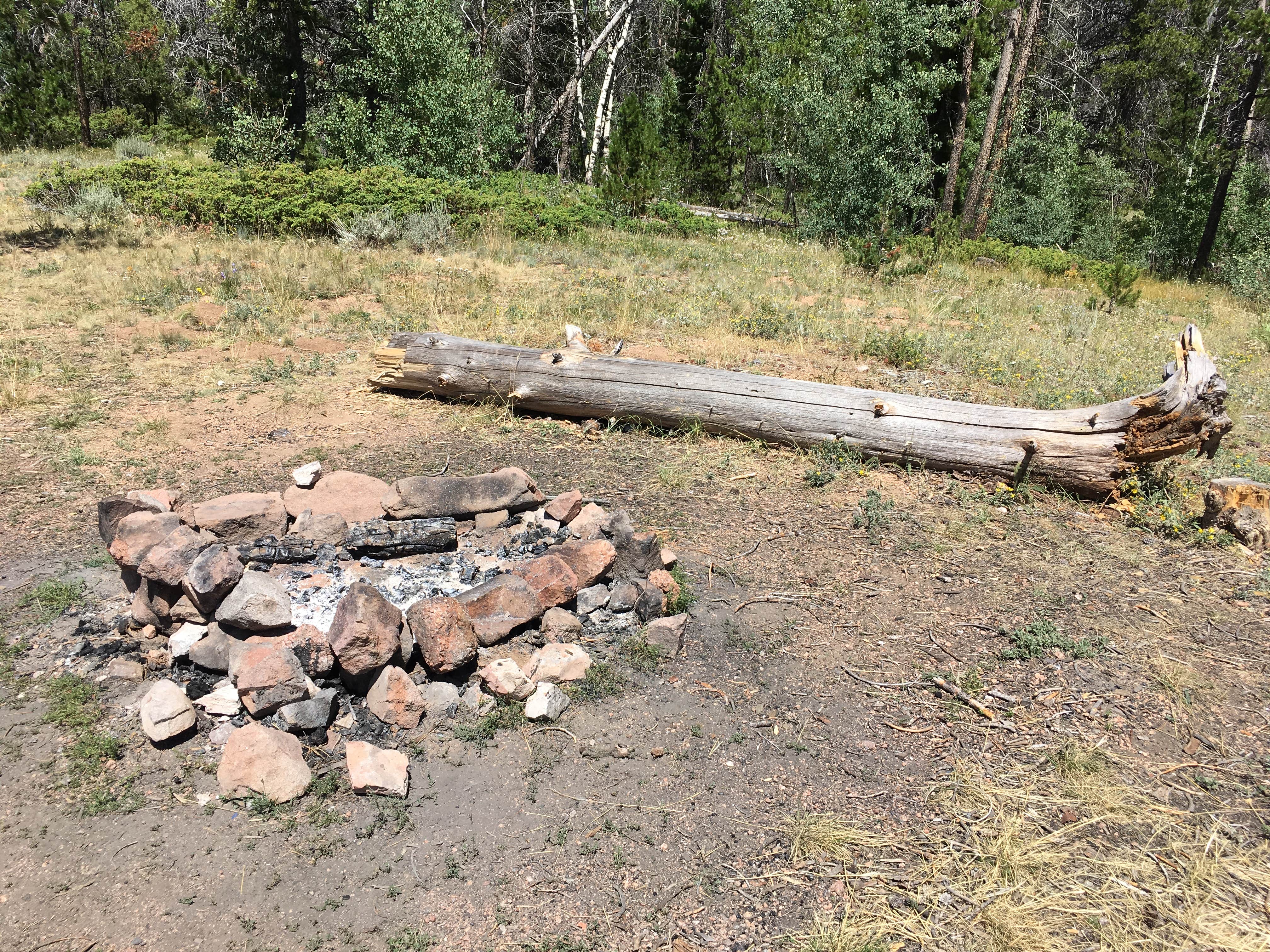 Camper-submitted photo at Pole Mountain Dispersed Camping near Buford, WY