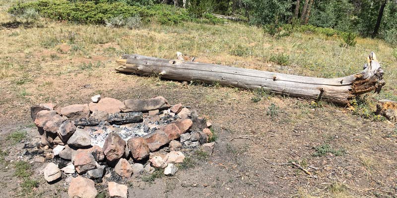 Camper submitted image from Pole Mountain Dispersed Camping