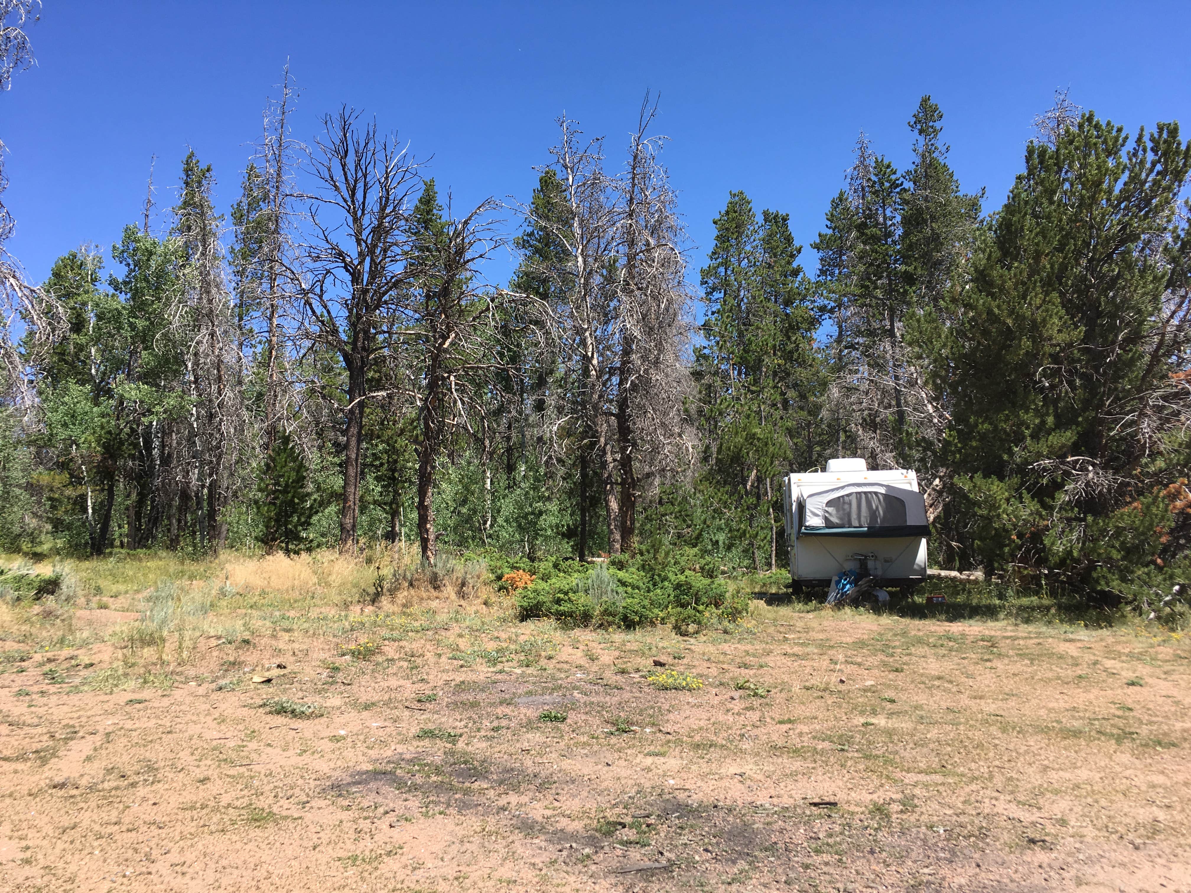 Les R.'s photo of rv camping at Pole Mountain Dispersed Camping near Laramie, WY