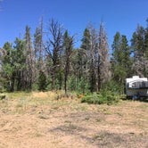 Review photo of Pole Mountain Dispersed Camping by Leslie R., August 18, 2019