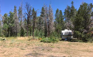 Les R.'s photo of rv camping at Pole Mountain Dispersed Camping near Granite Canon, WY