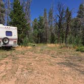 Review photo of Pole Mountain Dispersed Camping by Leslie R., August 18, 2019