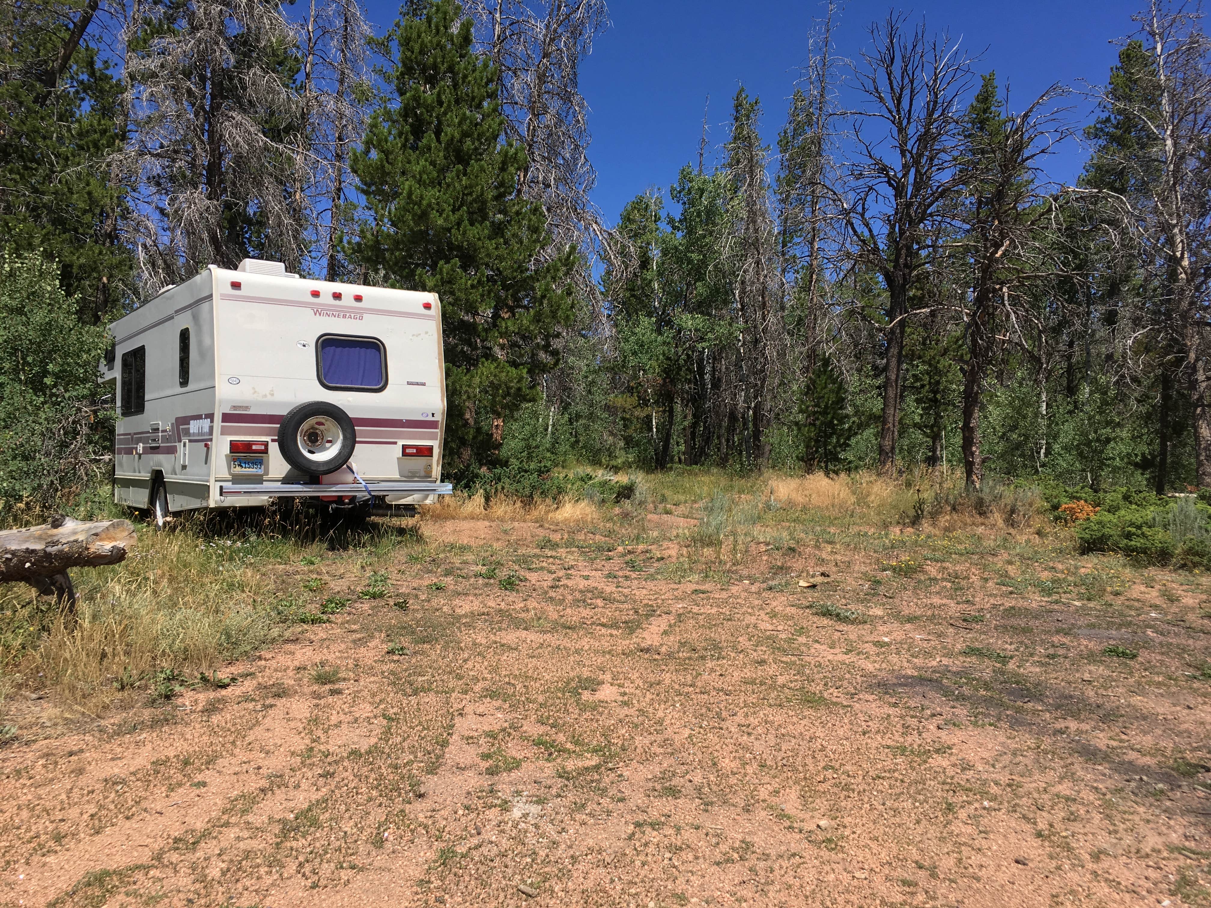 Camper submitted image from Pole Mountain Dispersed Camping - 4