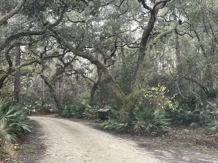 Camper-submitted photo at Fore Lake Campground near National Forests in Florida