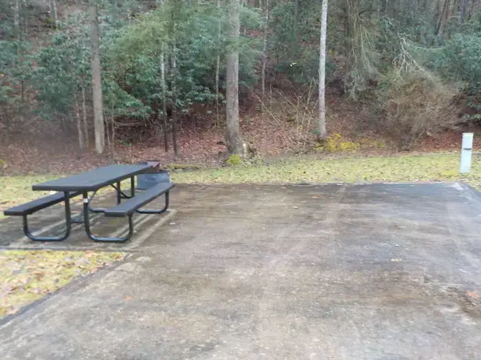 Camper-submitted photo at Lower Twin Campground (VA) near John W. Flannagan Dam and Reservoir