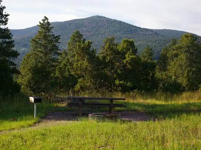 Camper submitted image from Firefighters Campground - 1