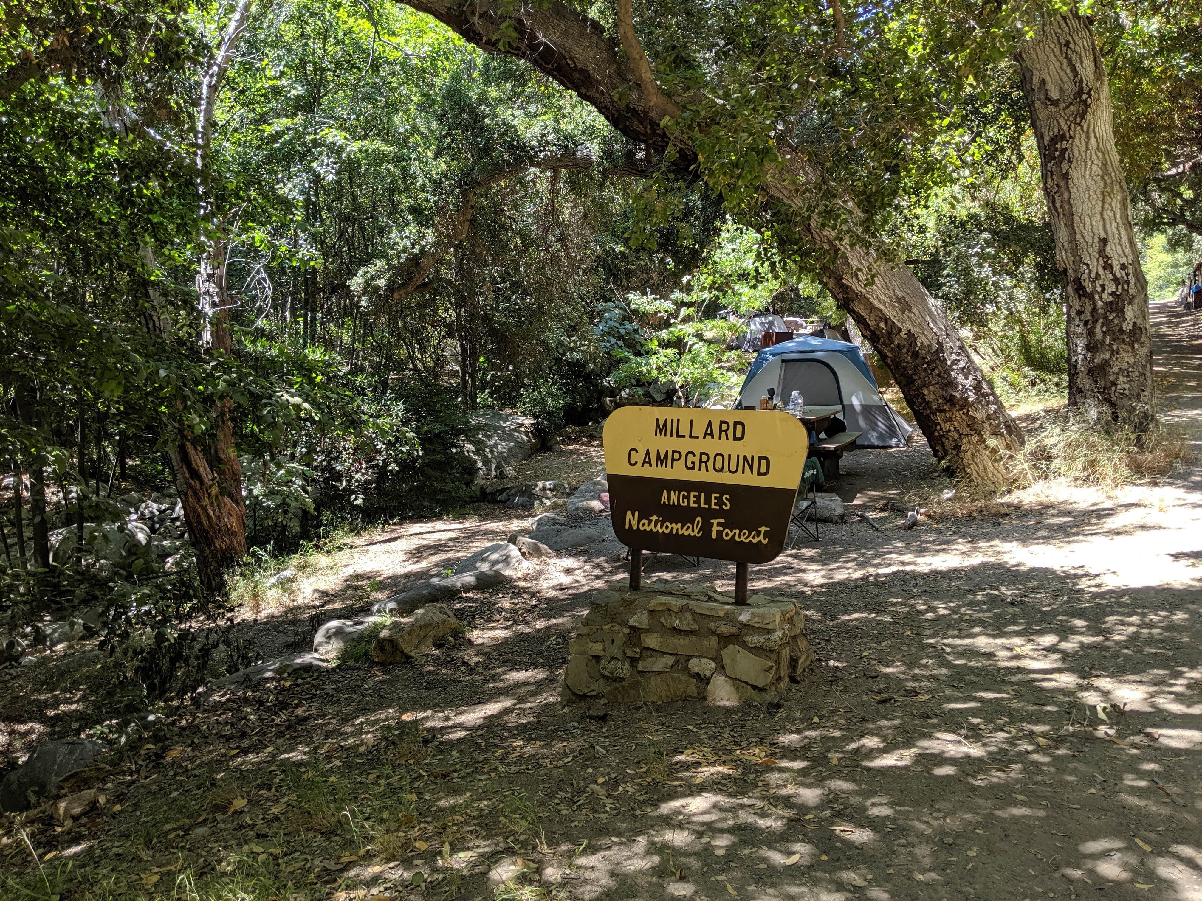 Camper submitted image from Millard Trail Campground - 2