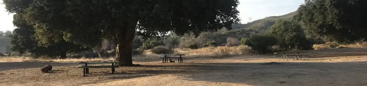 Camper-submitted photo at Turkey Flat OHV Staging Area near Morro Bay, CA