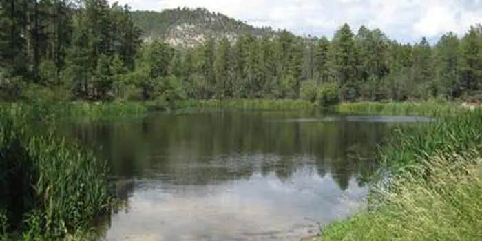 Camper submitted image from Horsethief Cabin