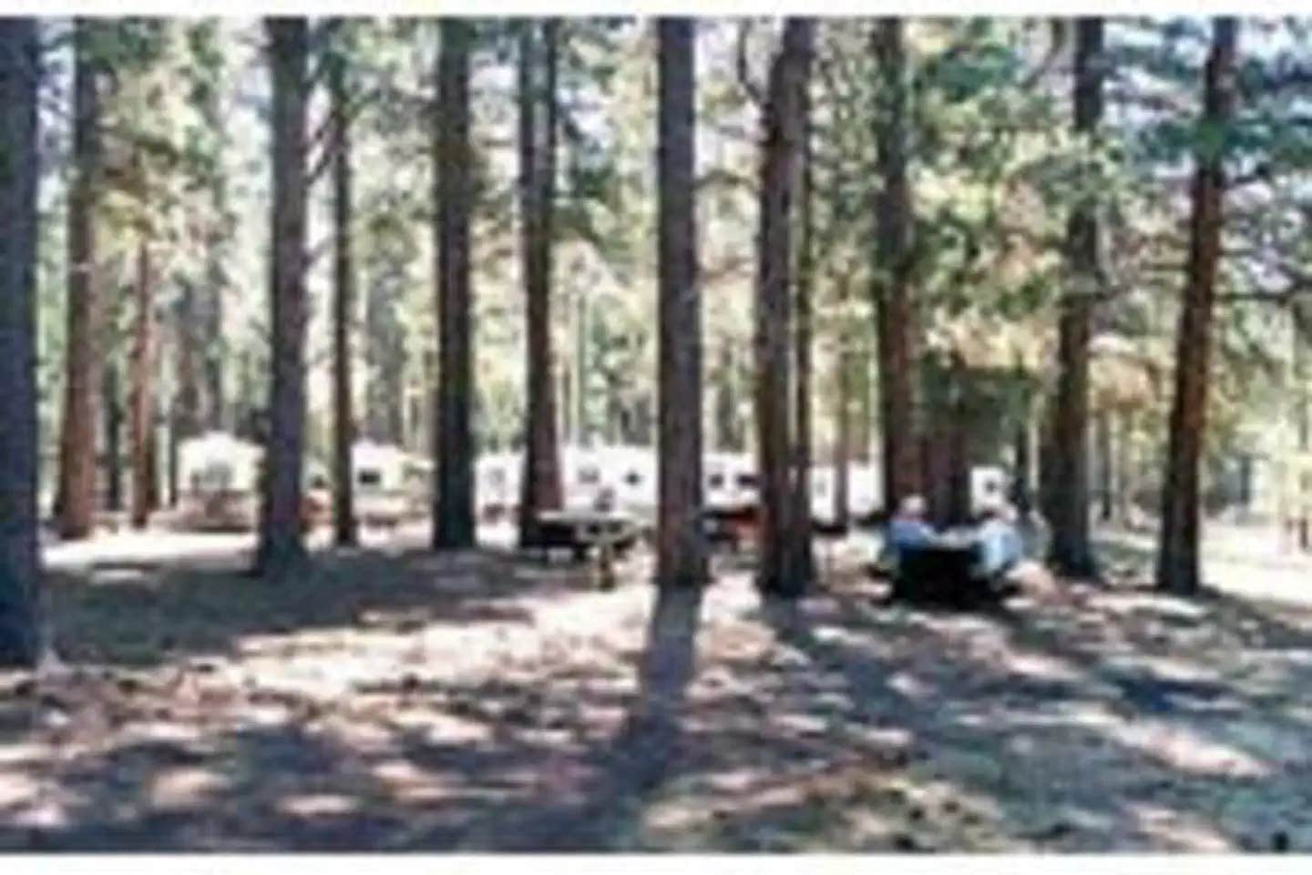 Camper submitted image from West Eagle Campground - 1