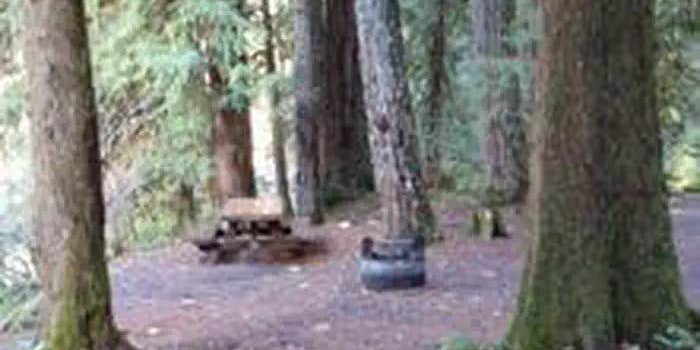 Camper submitted image from Willamette National Forest Red Diamond Group Campsite