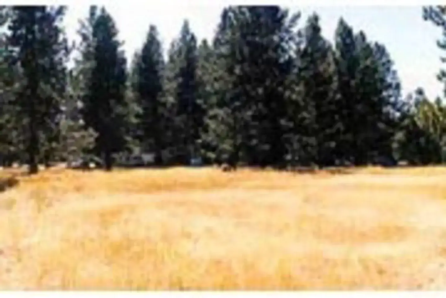 Camper-submitted photo at West Eagle Campground near Susanville, CA