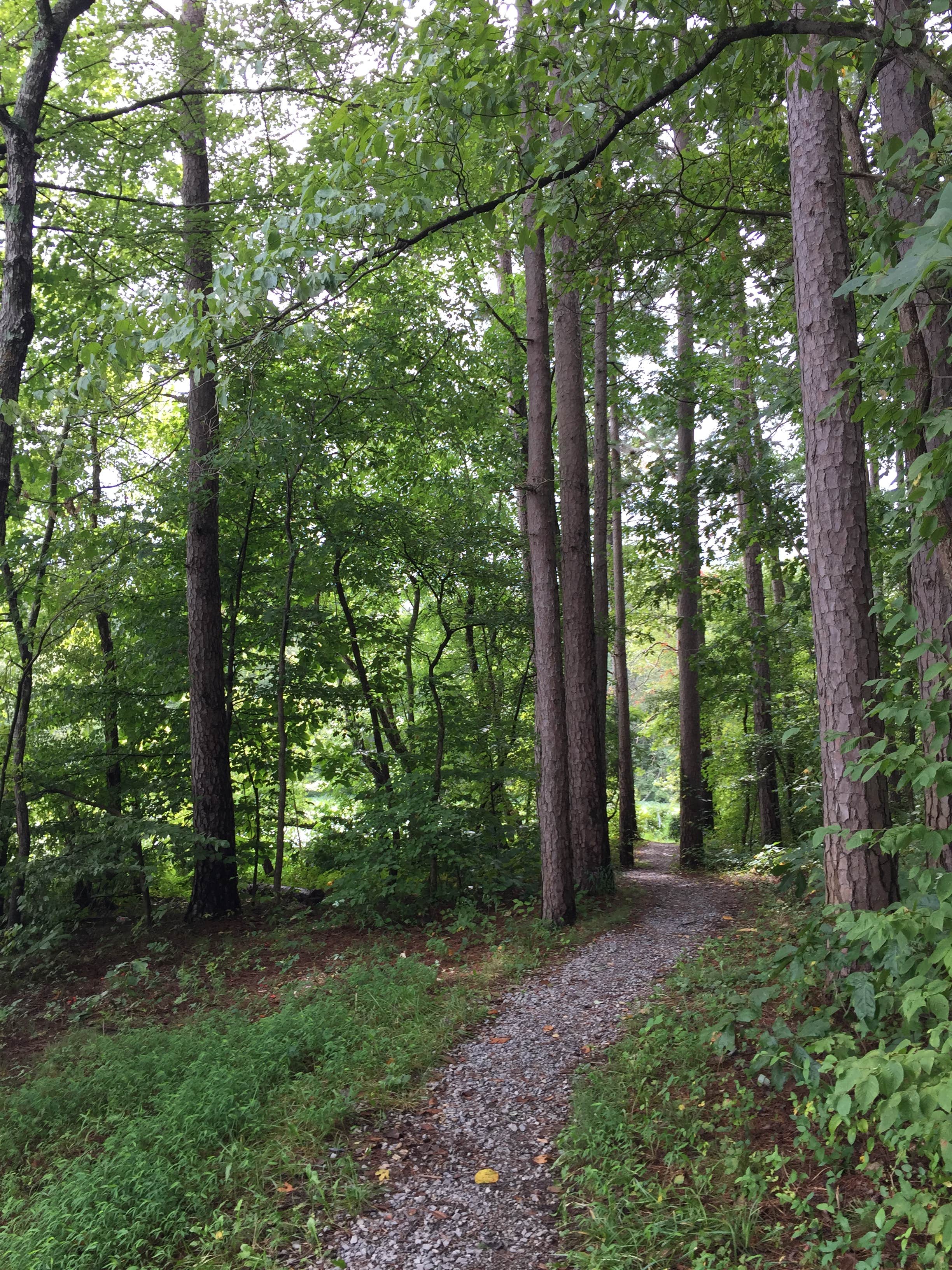 Camper submitted image from Oak Point - Lake Glendale - 2