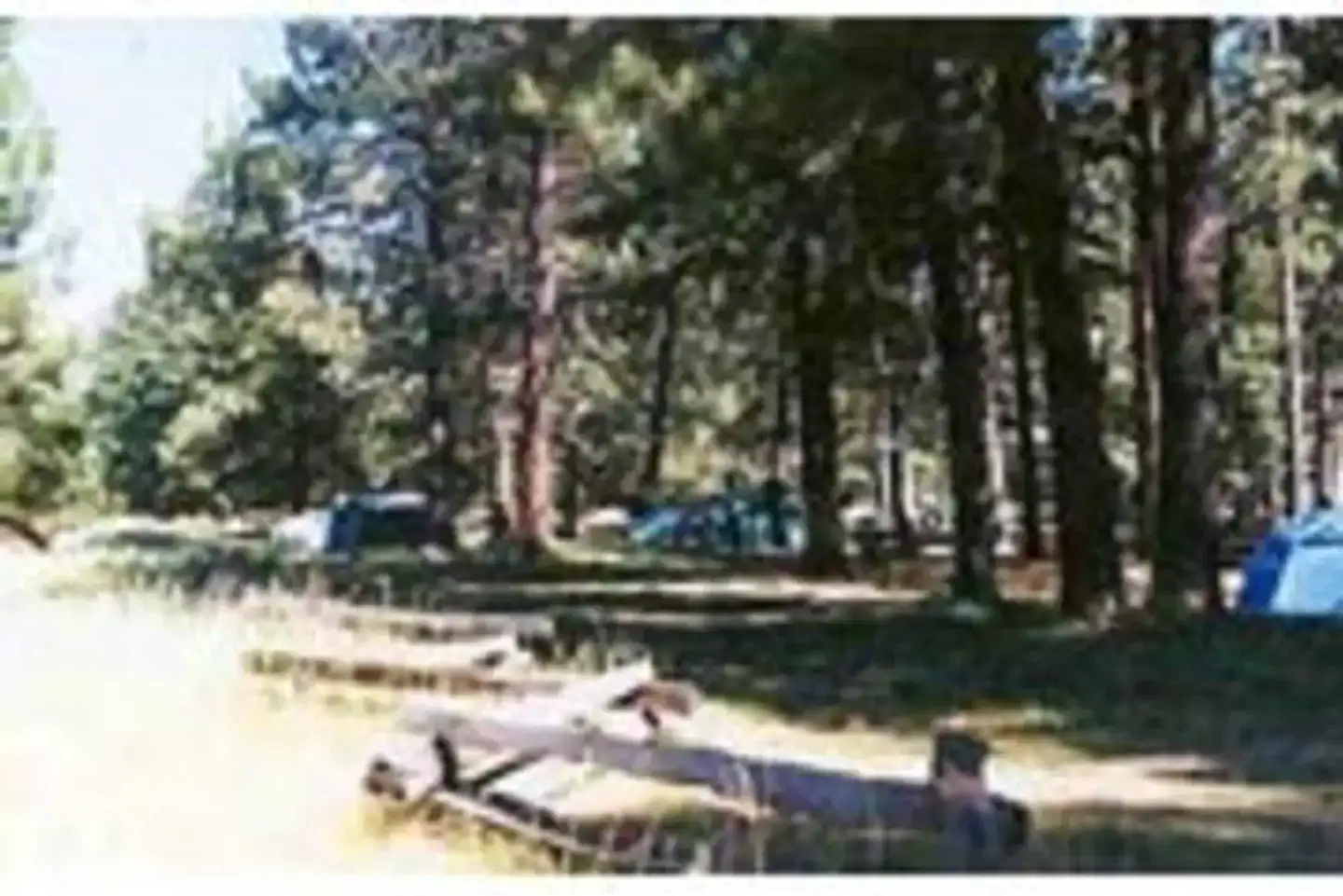 Camper-submitted photo at West Eagle Campground near Susanville, CA