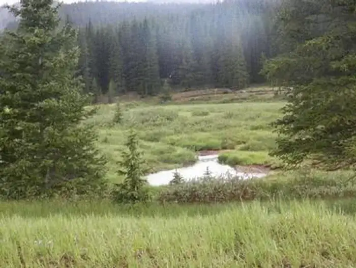 Camper-submitted photo at Monarch Park near Pitkin, CO