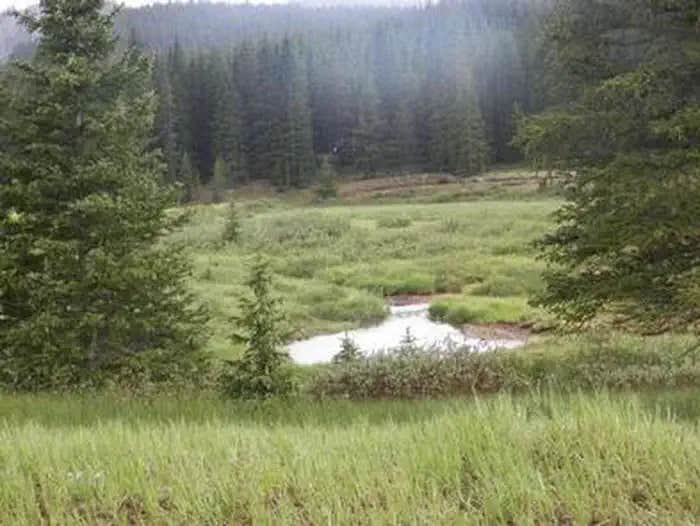 Camper submitted image from Monarch Park - 1