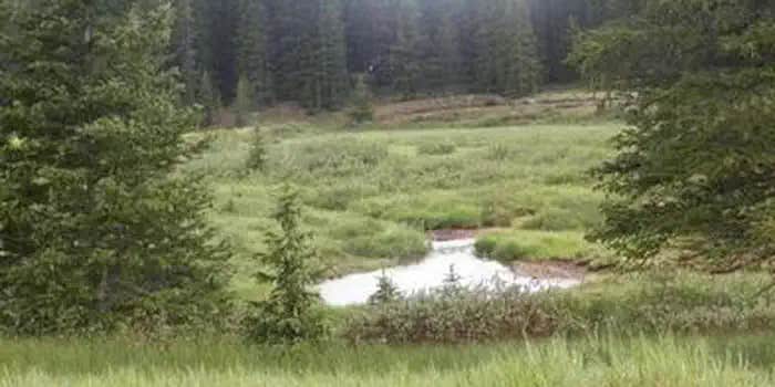 Camper submitted image from Monarch Park