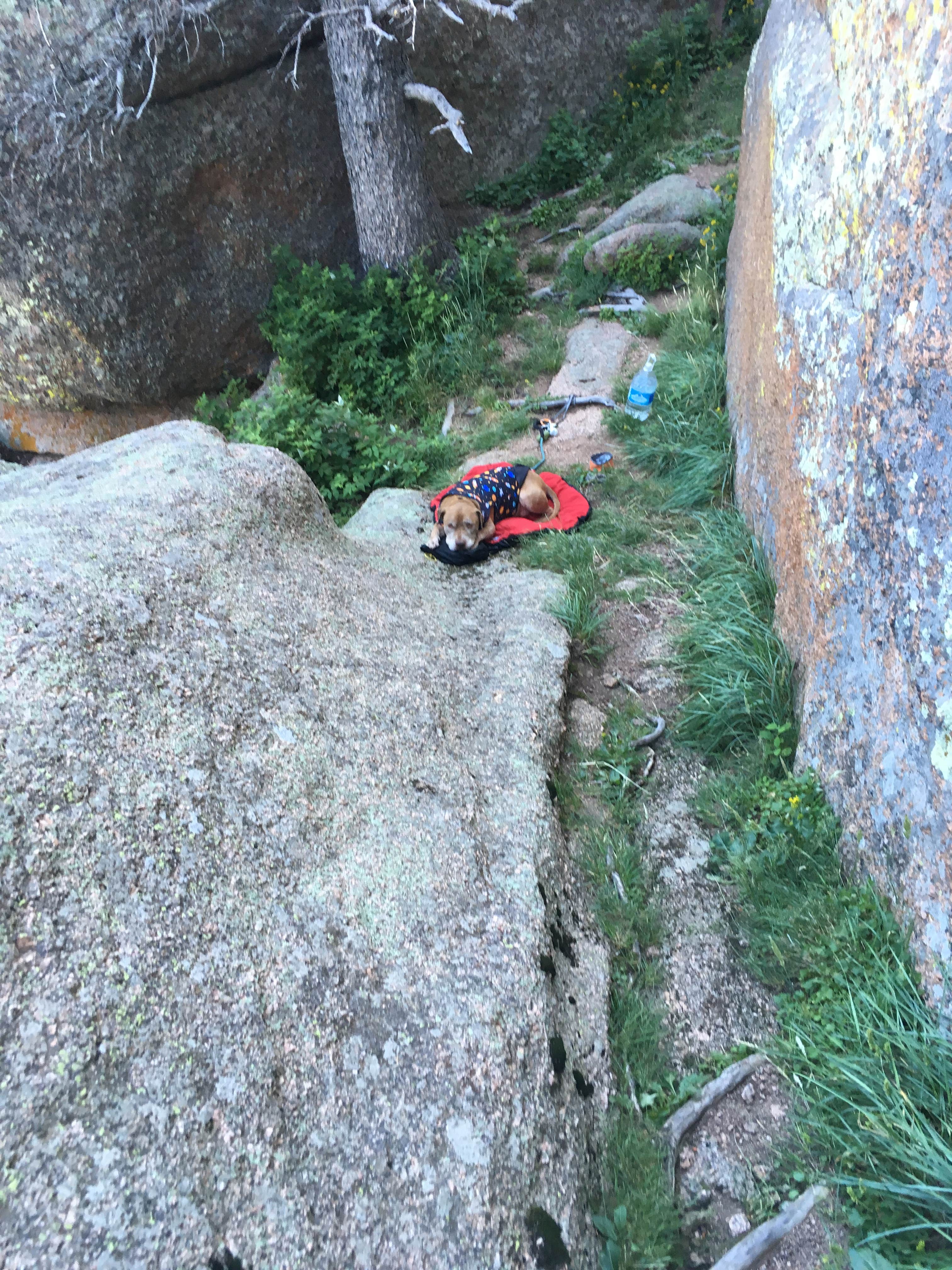 Camper submitted image from Upper Blaire Dispersed Camping - 4